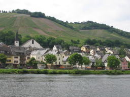 NZuN{